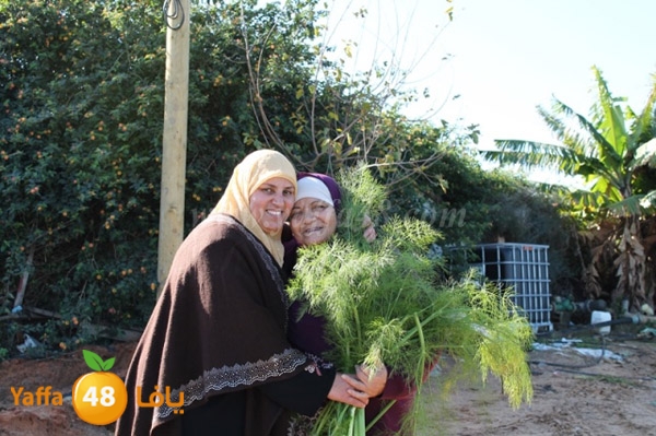 re7la tolkarem (63).JPG